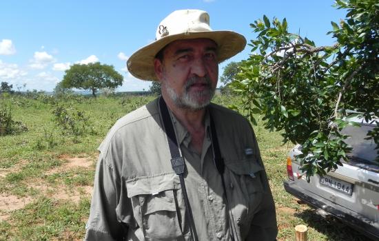Ferdinando Ceolin Neto