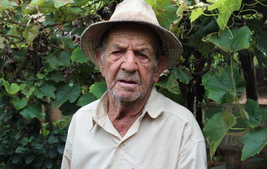 Benedito Benedito