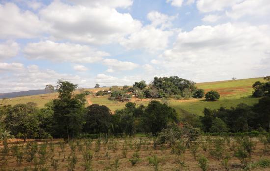 Reserva EcoCerrado Brasil