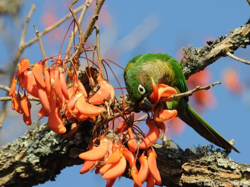 Mulungu e a natureza