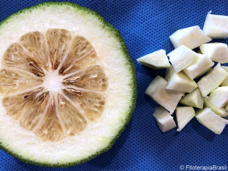 Citrus aurantium